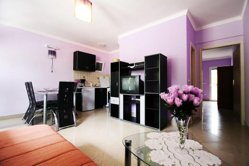 Paunovic Apartments Teodo Camera foto